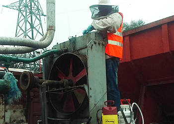 Asland Pest Control Services