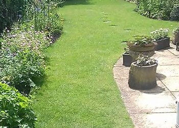 Aspen Garden Services Hull