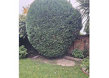 Aspire Garden Services