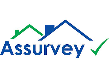 Assurvey Ltd