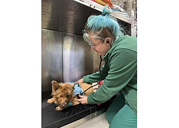 Astonlee Veterinary Centre