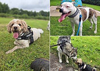 At Your Bark and Call