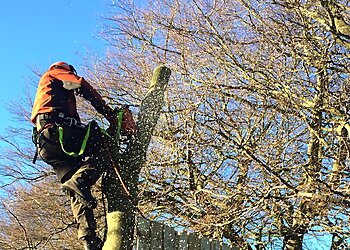 Attwater Arboriculture