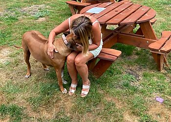 Auntie Lin's Pet Services