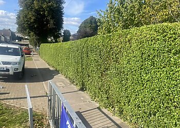 Austin Gardening Services