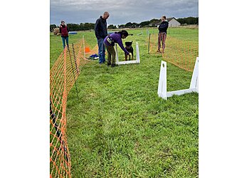 Awesome Paws Academy