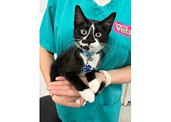 Aylesbury Companion Care