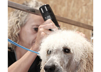 Ayrshire Grooming Salon