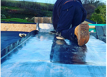 B Dry Roofing Ltd.