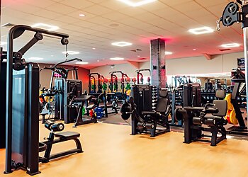 BH Live Active, Pelhams