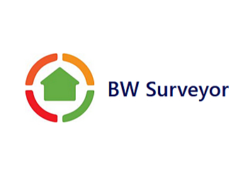 BW Surveyor BW Surveyor