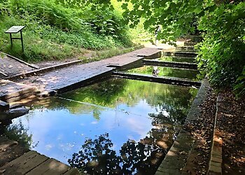 Baggeridge Country Park