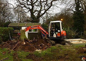 Bailey Tree Services