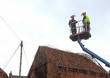 Bailey Tree Services