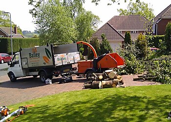 Walsall tree services Bailey Tree Services image 1