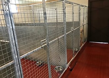 Banscol Kennels