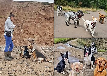 Bark & Bones Dog Walking Service