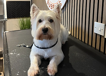 Bark & Bubbles Dog Grooming Newbury 