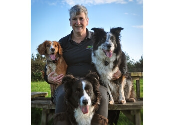 puppy training classes wirral