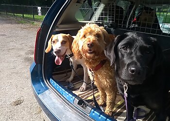 Barkers Pet Services