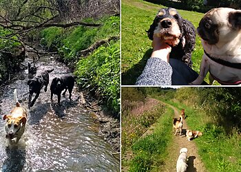 Barkers Pet Services