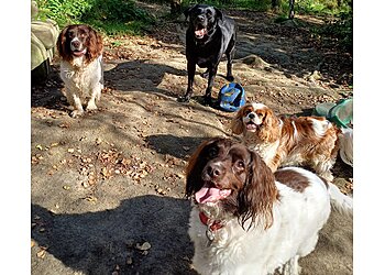 Gateshead dog walkers Barking Avenue image 1