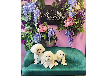 Barking Style Boutique