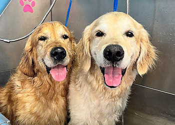 Barkingham Palace Pet Grooming