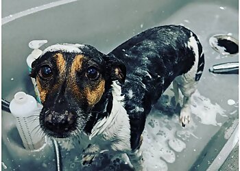 Barks 'n Bubbles