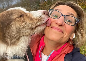 Bark to Basics Dog Training