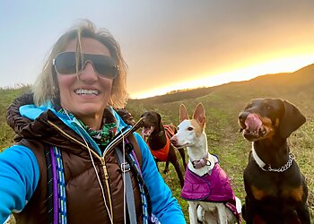 Bridgend dog trainers Bark to Basics Dog Training and Behaviour image 1