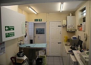 3 Best Vets in London, UK - Expert Recommendations