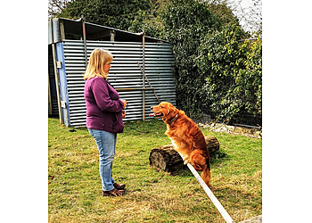 Barry Black Dog Training Barry Black Dog Training