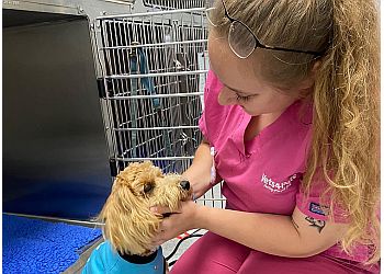 Vets4Pets Bath
