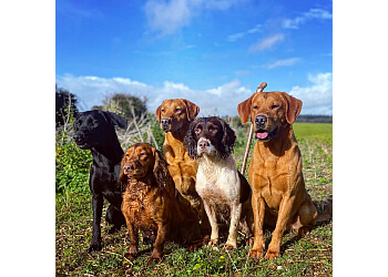 Bawden Flight Gun & Pet Dogs