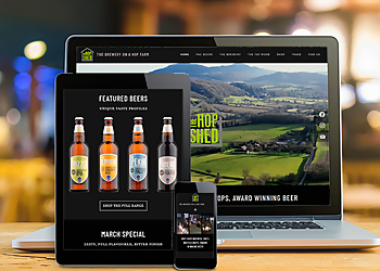 Bear Left Studio Ltd