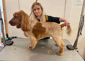 Beautipets Dog Grooming