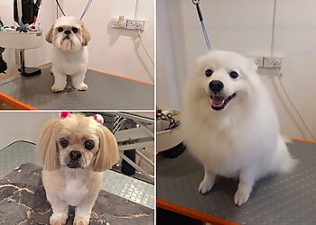 Beautipets Dog Grooming