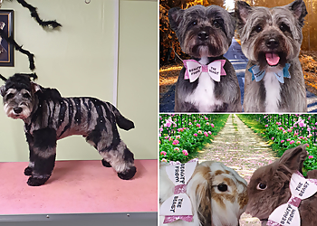 Beauty from the Beast