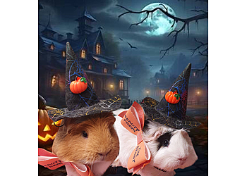 Beauty from the Beast