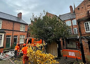 Beddow Tree Specialists