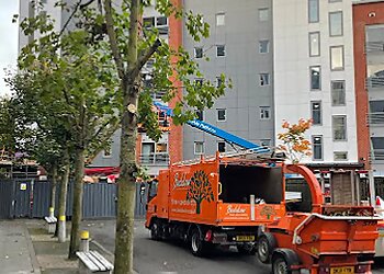 Leicester tree services Beddow Tree Specialists image 1