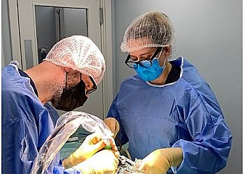 Beech House Veterinary Clinic