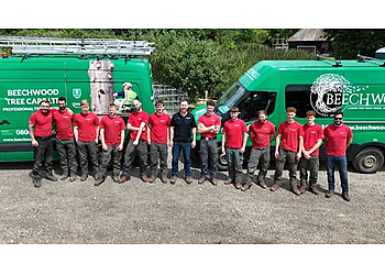 Beechwood Tree Care Ltd.