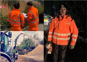 Beechwood Trees & Landscapes LTD