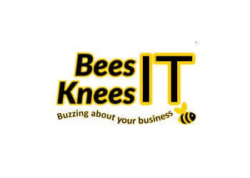 Bees Knees IT