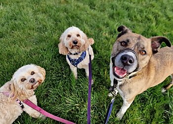 Bella's Boutique Pet Services