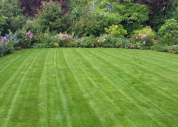 Belmont Garden Service