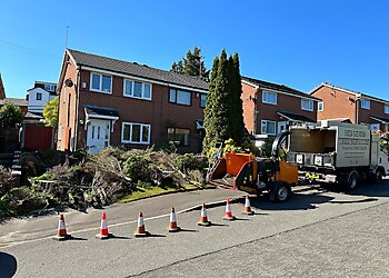 Ben Lewis Tree Services