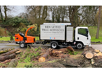 Ben Lewis Tree Services